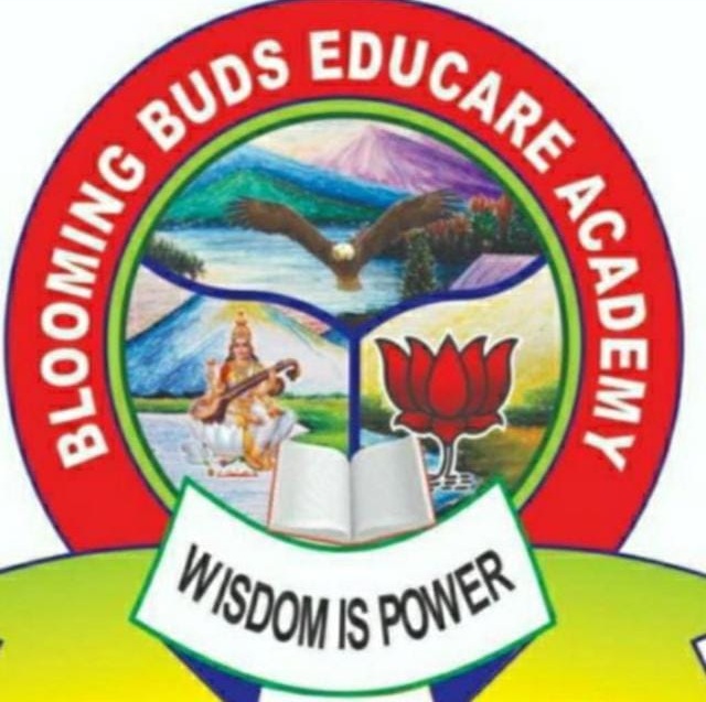 BLOOMING BUDS EDUCARE ACADEMY